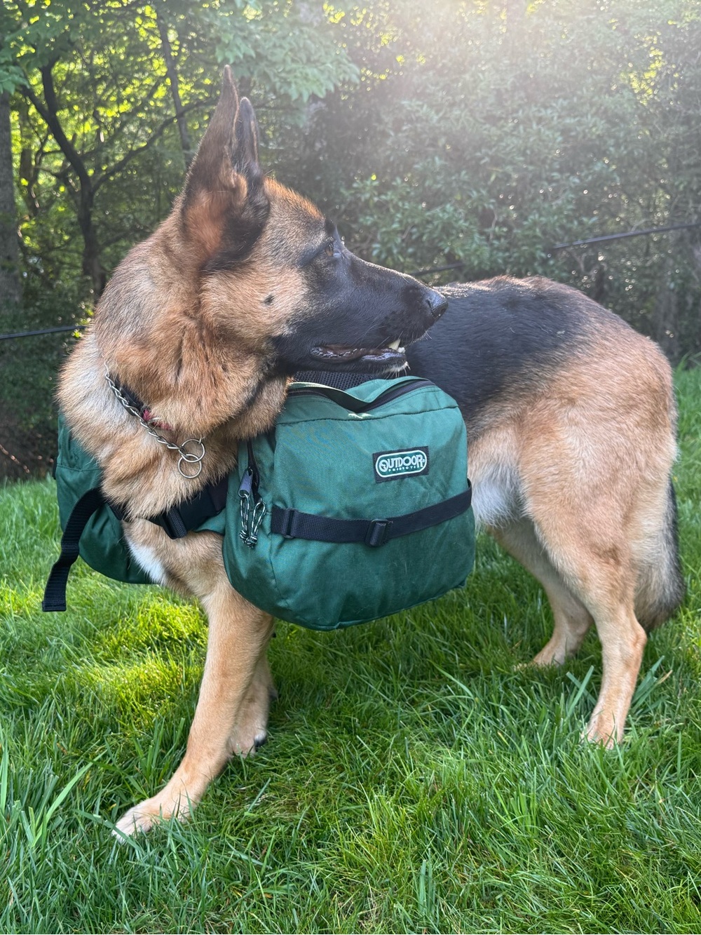 Outdoor Products Cordura Dog Hiking Backpack Saddle Bags XL Green